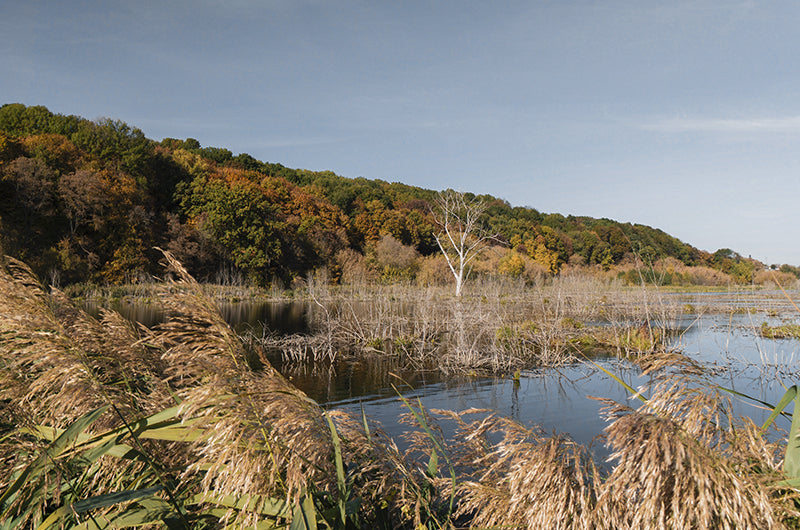 STORIES BEHIND ECOSUSI BAGS- EPISODE 2 NATURAL INSPIRATION