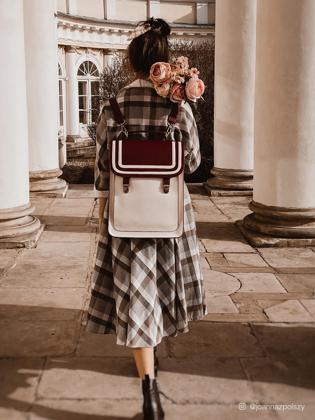 Red Stripe Laptop Backpack