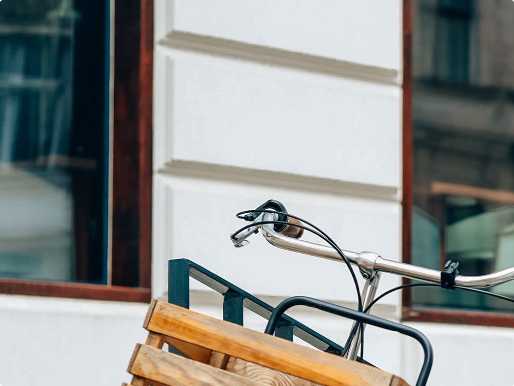 Ecosusi Vintage - vintage inspired #ecosusi shoes. Easy to match with  whatever you wear 📸 @imagesbylisawarren